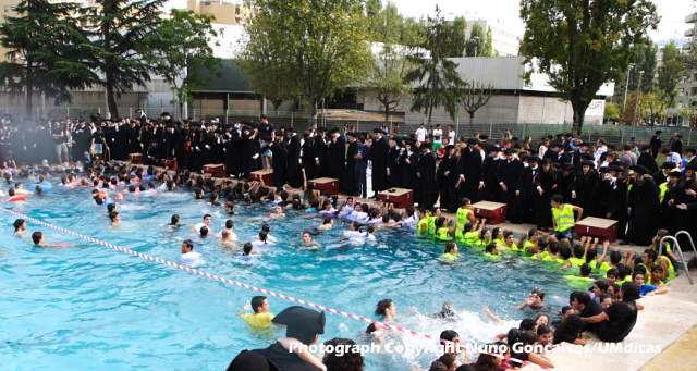 Thumbnail da galeria Caloiro de Molho